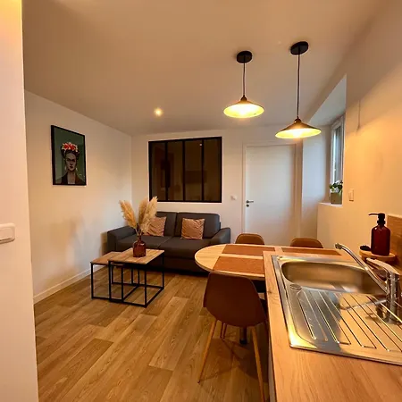 Apartament Le Quarante Cinq -6 Laval (Mayenne)