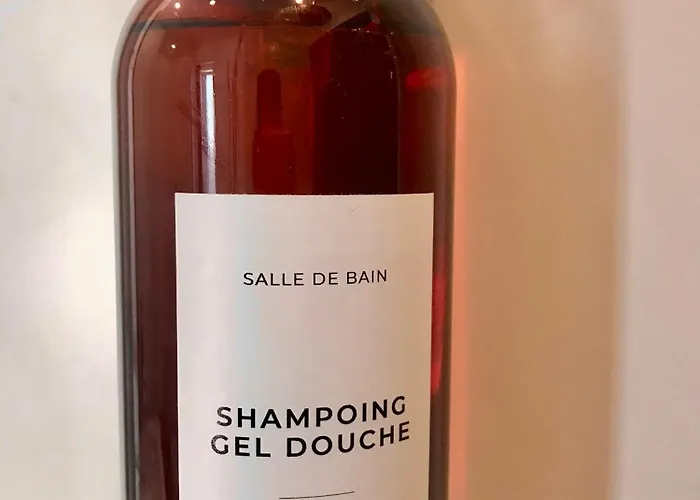 Le Quarante Cinq -6 Appartamento Laval (Mayenne)